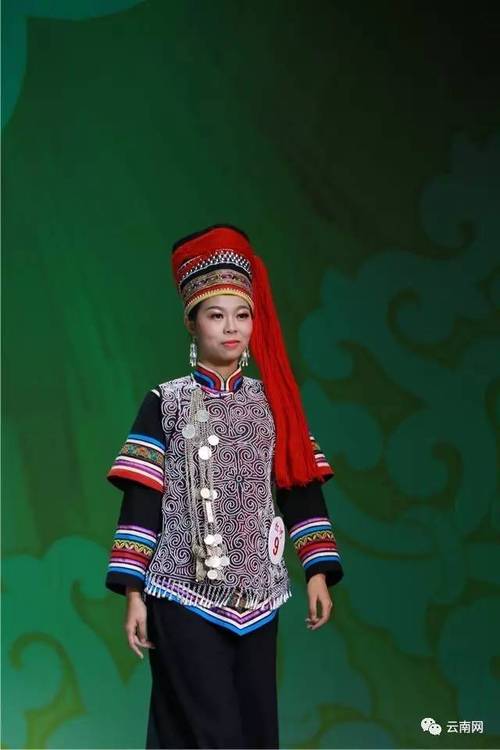云南最美少数民族服饰评选揭晓 迪庆藏族女装「3号」的华彩与传承